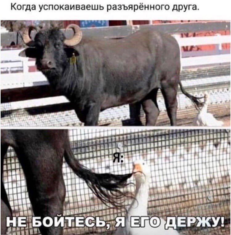 n7SwT41GJZU.jpg.910e776e491b5b5a164473bc62d6fc02.jpg