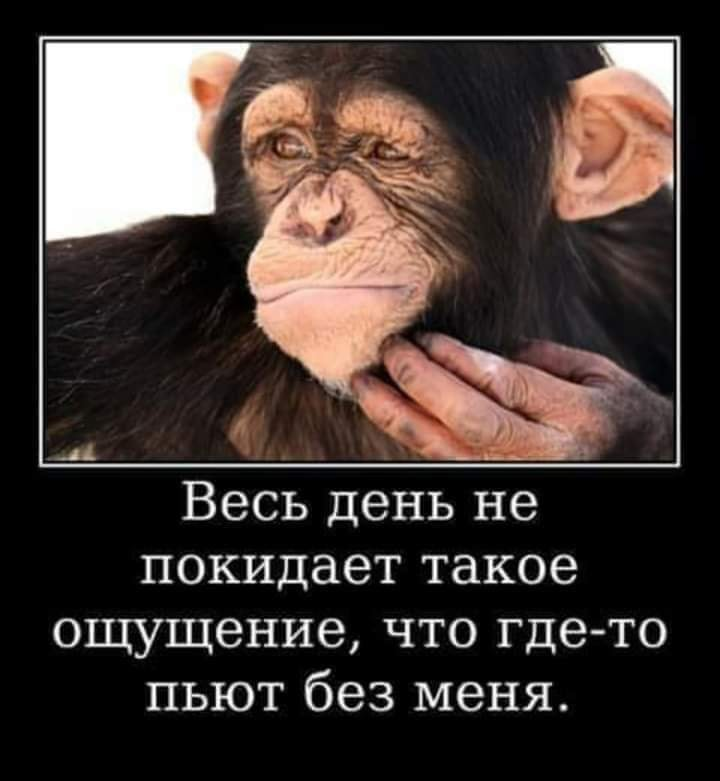 image.png.ac08701462bd0e524b11b6389a127065.png