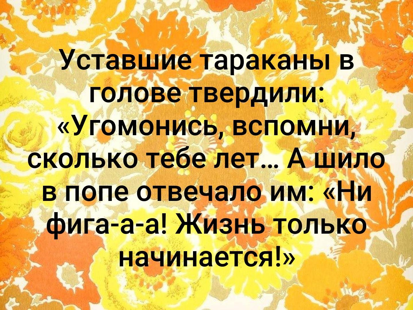 o8j24aZ3p64.jpg.65d2514316ccd3a55b1ca858e9a05be9.jpg