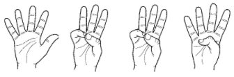 1.PNG.6de91401bb99d05e69b63c57de76ea46.PNG