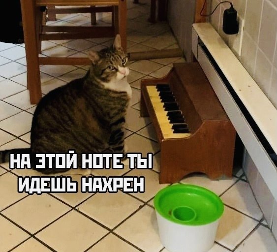 DVzeU8kmrNM.jpg.5e0d9f642a198a5ec657cc4578fb5879.jpg