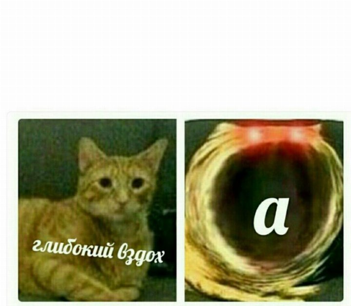 glibokij-vzdoh-meme.jpg.d887f591017399c86d48363336556ade.jpg