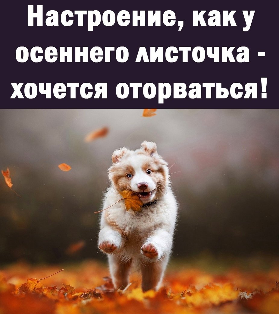 8671UtKMuxA.jpg.a8d3dd9388e807a08a1e91c66900559d.jpg