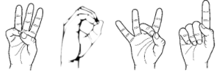 q1.PNG.9851686cede15e0e65bf335f3073ca9b.PNG