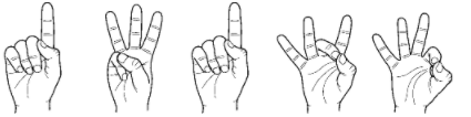 image.png.125315b0e2b7649e3392e90ffbe0c1e9.png
