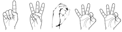 image.png.67218b316e3454a0e4ef0987075a0bec.png