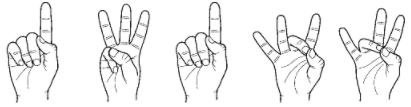 image.png.c10be5788191af05ed407aee0fb19f78.png