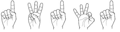 q1.PNG.e18ce763dd58714e6715752d656886b3.PNG