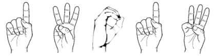 q6.PNG.304976efe25b4821e28606425c4b35f1.PNG
