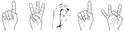 q8.PNG.f417b8cde6ea0e8132c648b8cd53c951.PNG