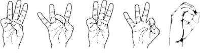 q90.PNG.da7d3cc82f5517847824ba553145b1bf.PNG