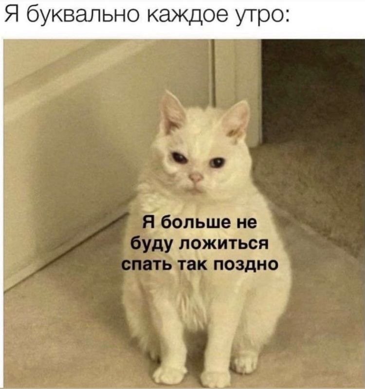 3E8F8C79-3929-4C71-9425-D863DEC18521.jpeg.ee45bbb34729f0d526924cd546fac478.jpeg