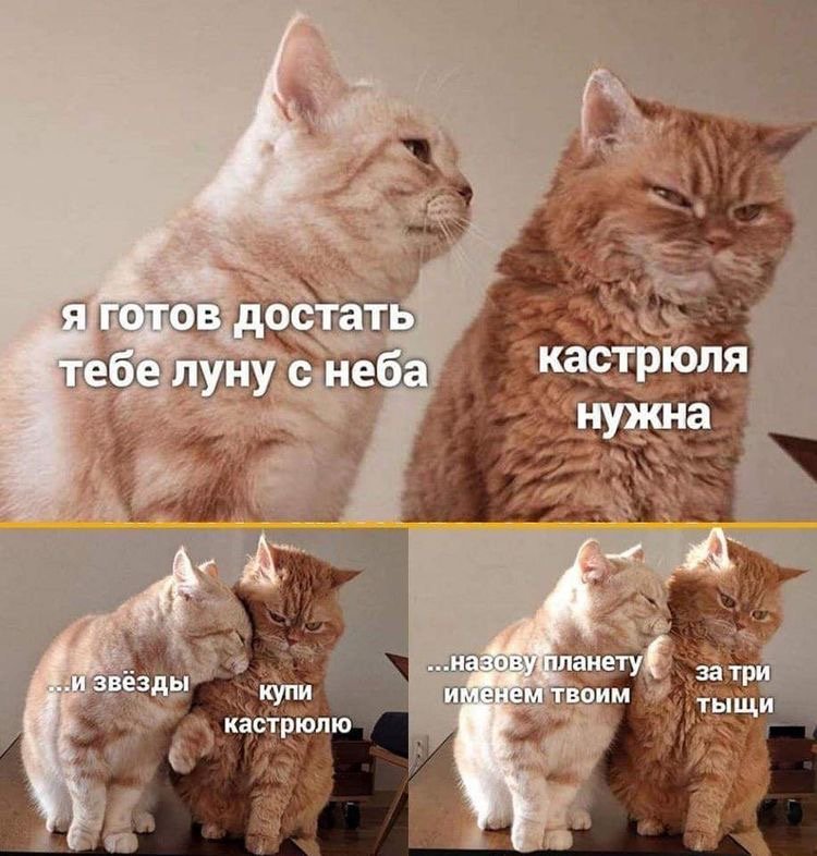 72A98B05-2A57-4329-859F-D88446DB5003.jpeg.31ac3a264c6d9fe8b645a62dcae53c8d.jpeg