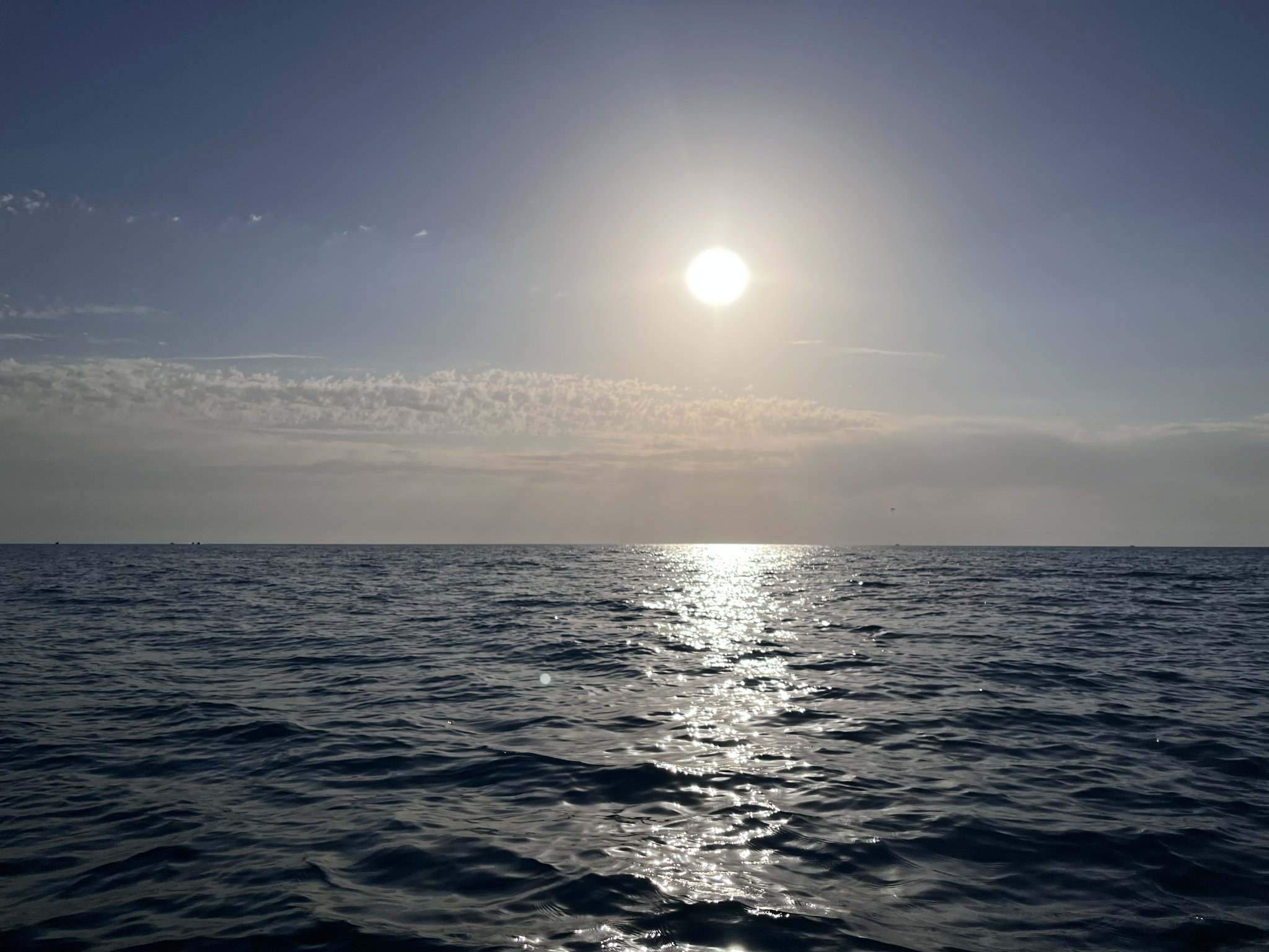 D333F855-A51E-4100-82B6-80CCACA2590A.jpeg.b1f7e92a854e9743d6ac346acb2d23d3.jpeg