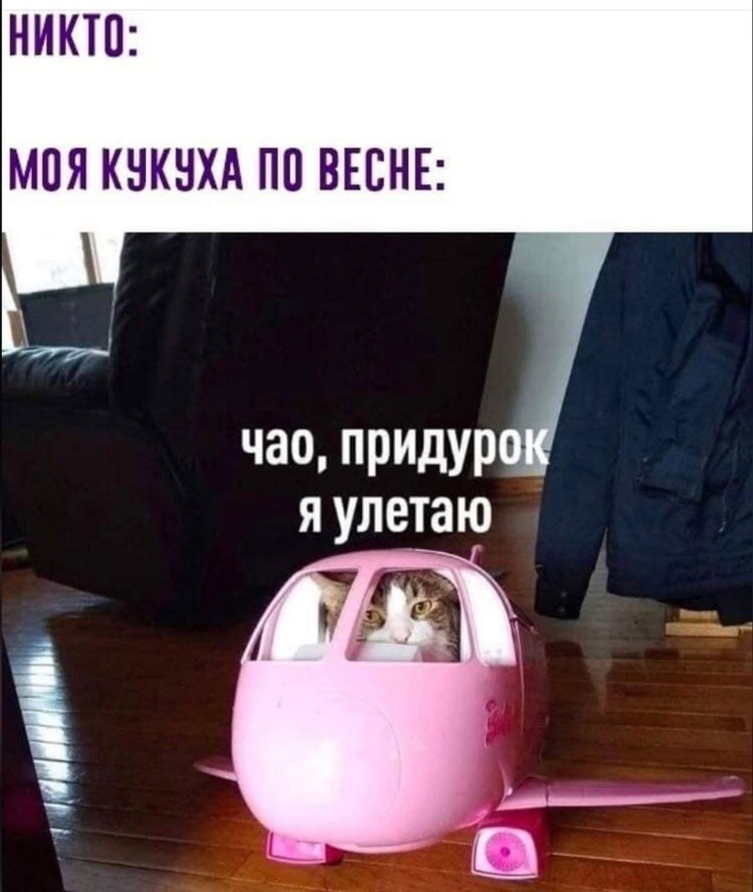 75009FF4-E40D-48F6-B5FA-331762A93FF2.jpeg.fc98cc264719f7d7a01df60e05433fca.jpeg