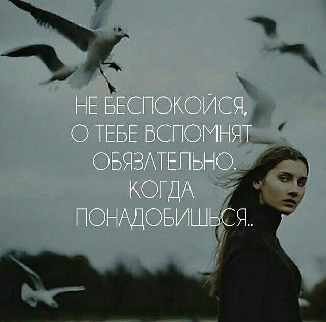image.png.f038c6ecb201b389b890ebf3aaf602a1.png
