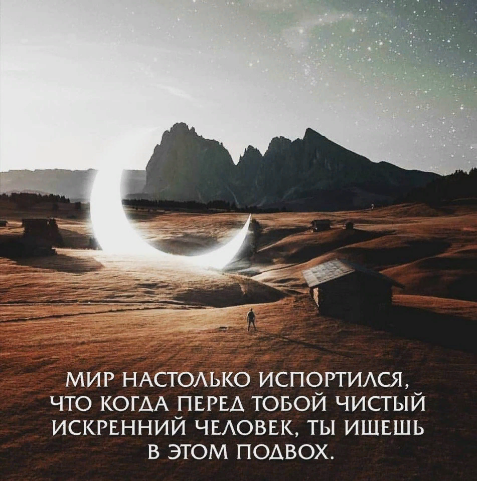 image.png.7ee9f3448f131929fb2d5935d9e1a322.png