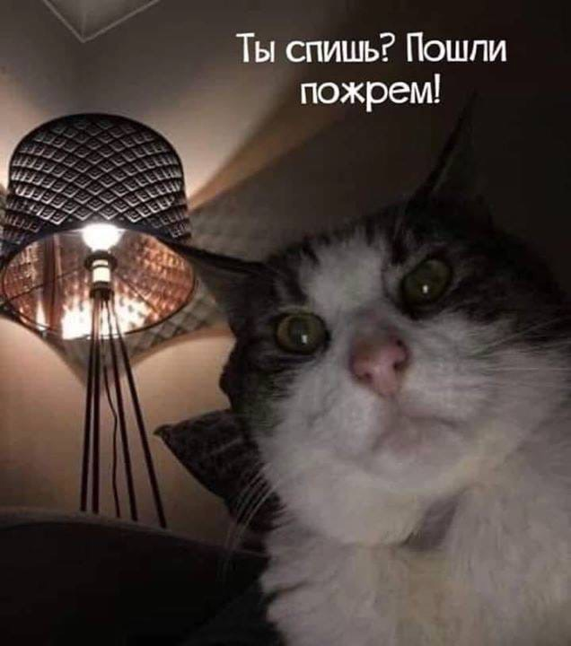 image.png.55bb106a9ab7fc2253a5ea15bc0deef6.png