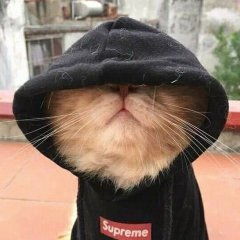 Чебуратор =)