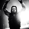 Reigns